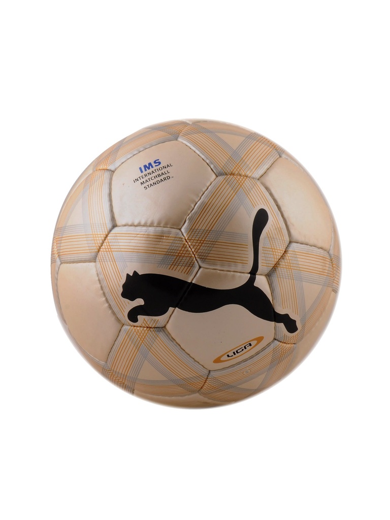 Puma Unisex Footballs