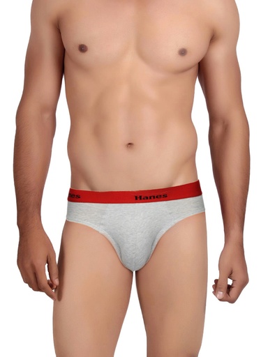 [KG-18698] Hanes Men Grey Ultimate Duo Dry Cotton Stretch Briefs - All-Day Comfort