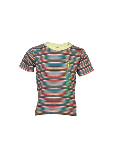 [KG-12846] Boys Tshirts